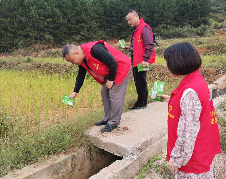 文章配圖