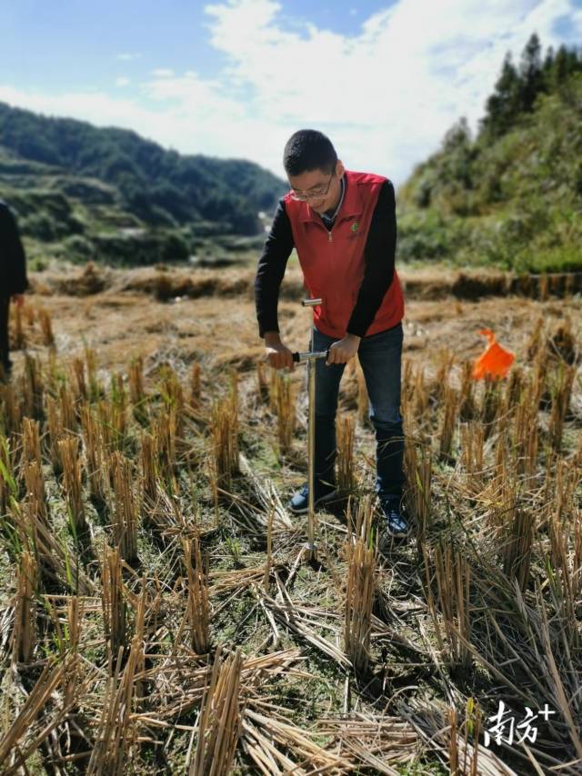 技術(shù)人員深入田間地頭開展土壤取樣、分析。通訊員供圖