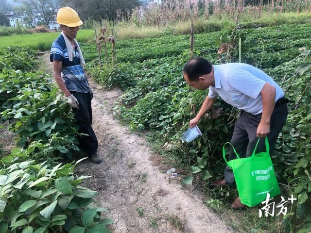 噴灑施藥。