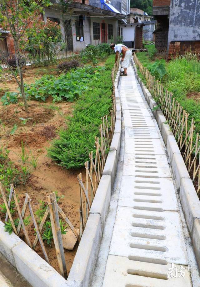 50個自然村建有污水處理系統(tǒng)。記者黃津 攝