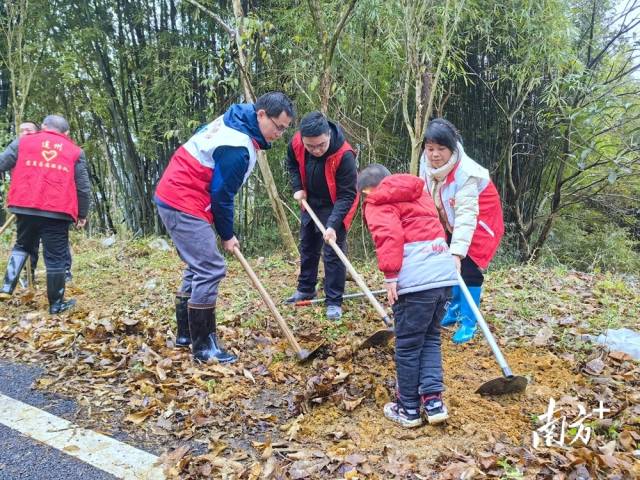 植樹現(xiàn)場。